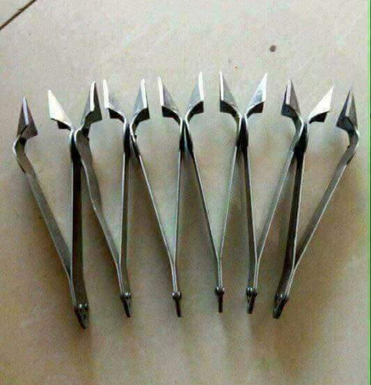 Nhíp gắp mắt thơm dứa khóm bằng inox nhỏ gọn siêu tốc tiện lợi, dụng cụ gắp mắt thơm dứa khóm thông dụng