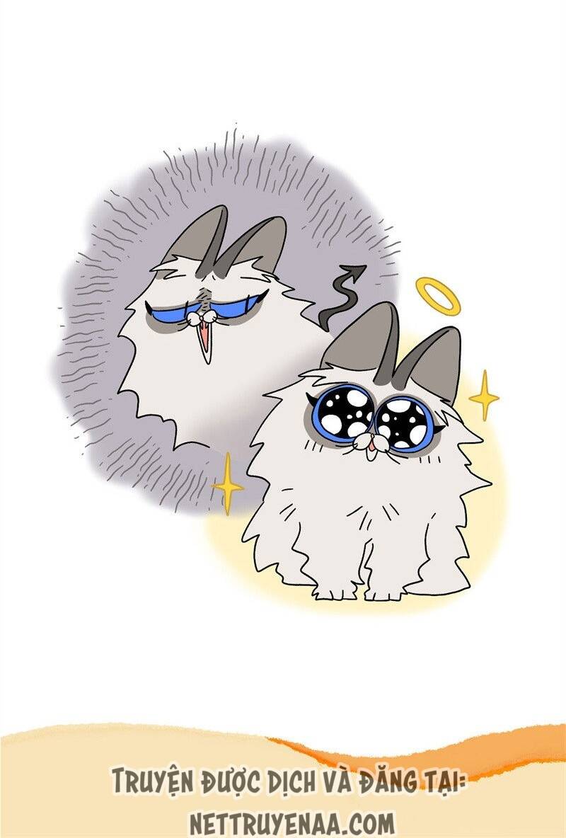 a mãn và mạch trà chapter 16.1 7