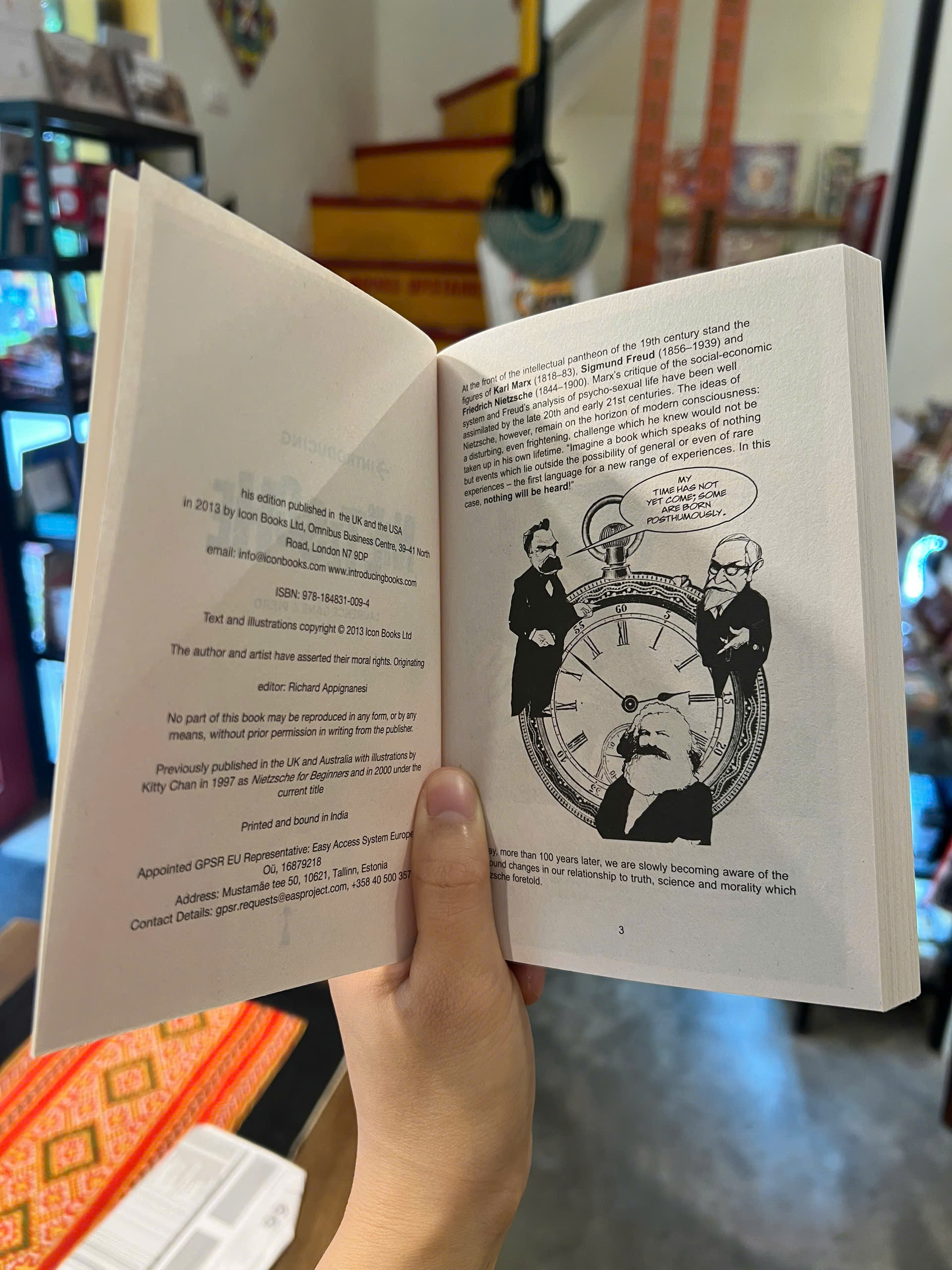 Sách - Introducing Nietzsche: A Graphic Guide by Laurence Gane | Psychology / Nonfiction / Ngoại văn