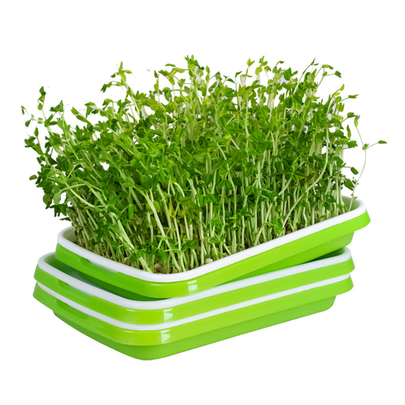 Khay Trồng Rau Mầm Thủy Canh Th Garden - Khay Nhựa Trồng Rau Sạch Thông Minh - Nhựa Pp Nguyên Sinh An Toàn Không Độc Hại