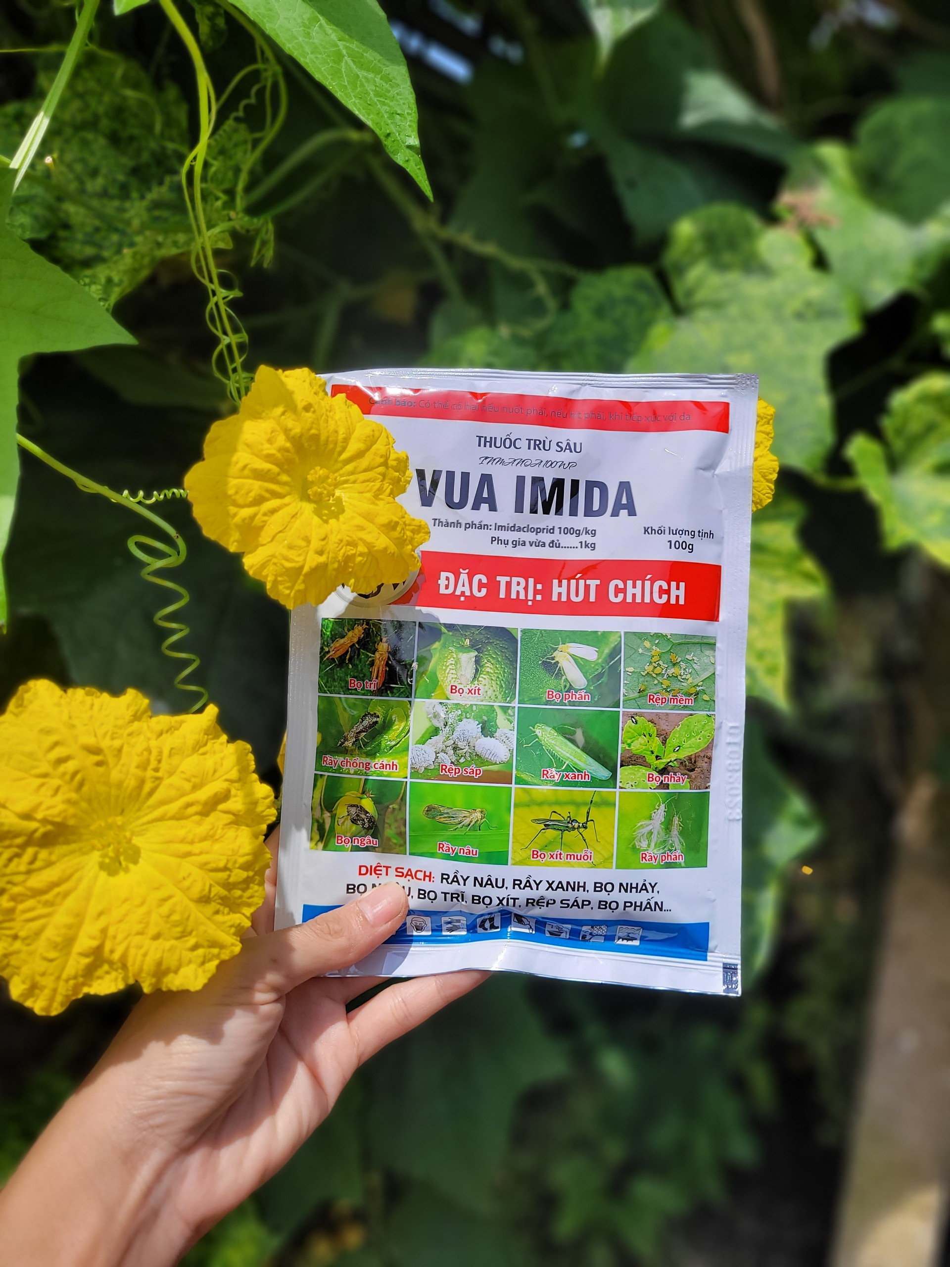 Vua imida gói 100g (Imidacloprid 100g/kg) diệt sạch chích hút, bọ trĩ, rầy nâu, rầy xanh