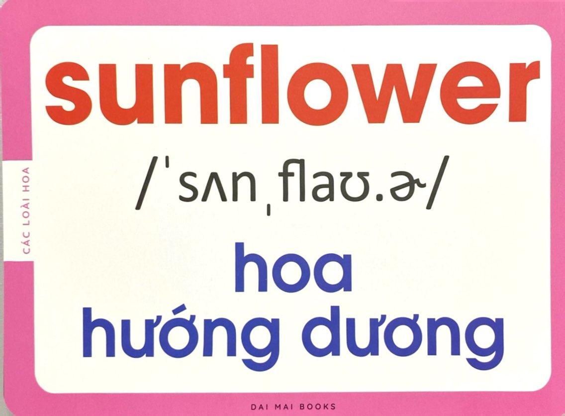Sách - Flash Card - Thẻ Học Thông Minh Theo Phương Pháp Giáo Dục Sớm Glenn Doman - Các Loài Hoa Và Trái Cây - Flowers And Fruits