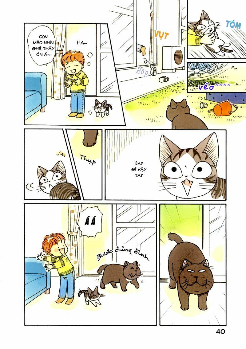 chi's sweet home chapter 26 2