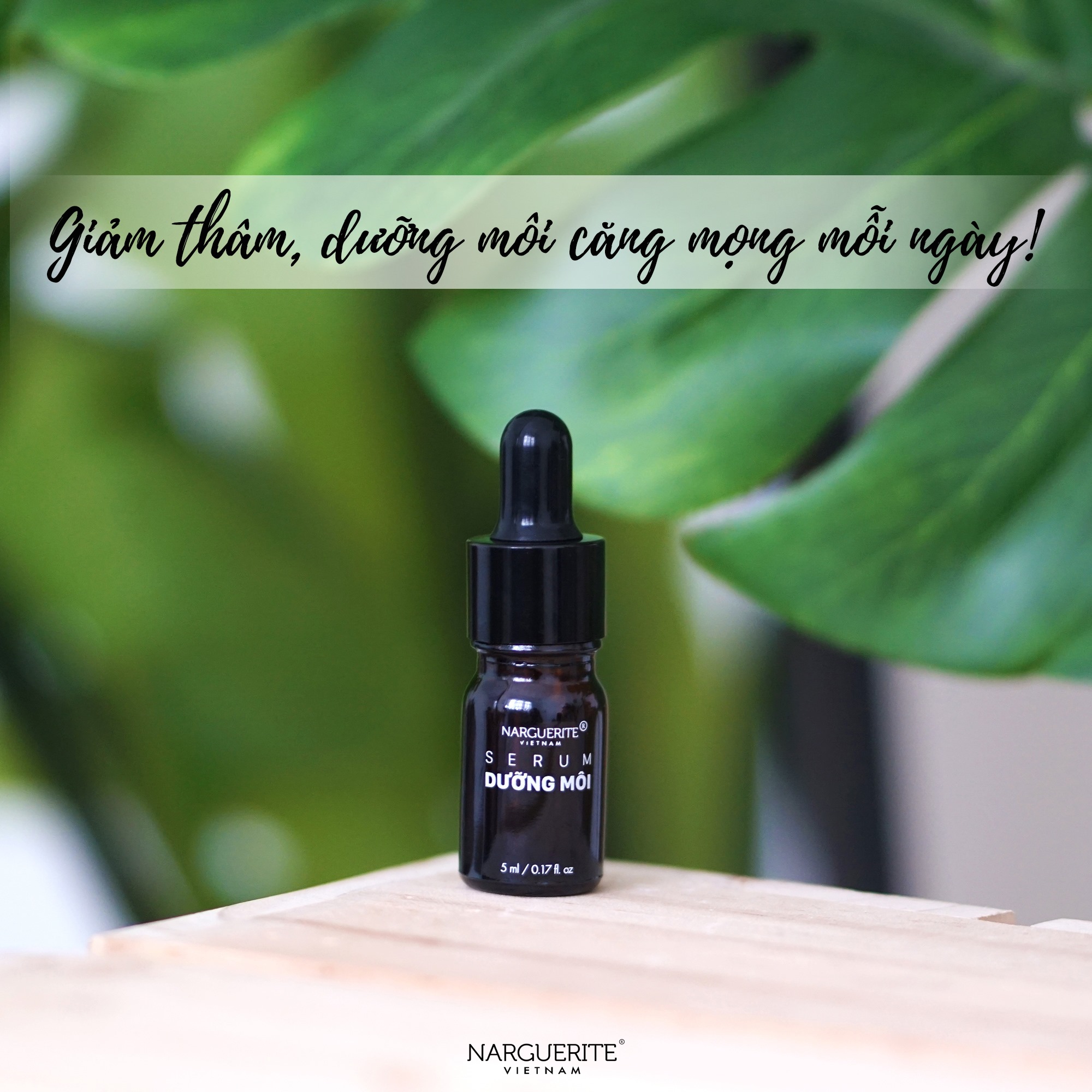 Serum Dưỡng Môi Narguerite 5ml