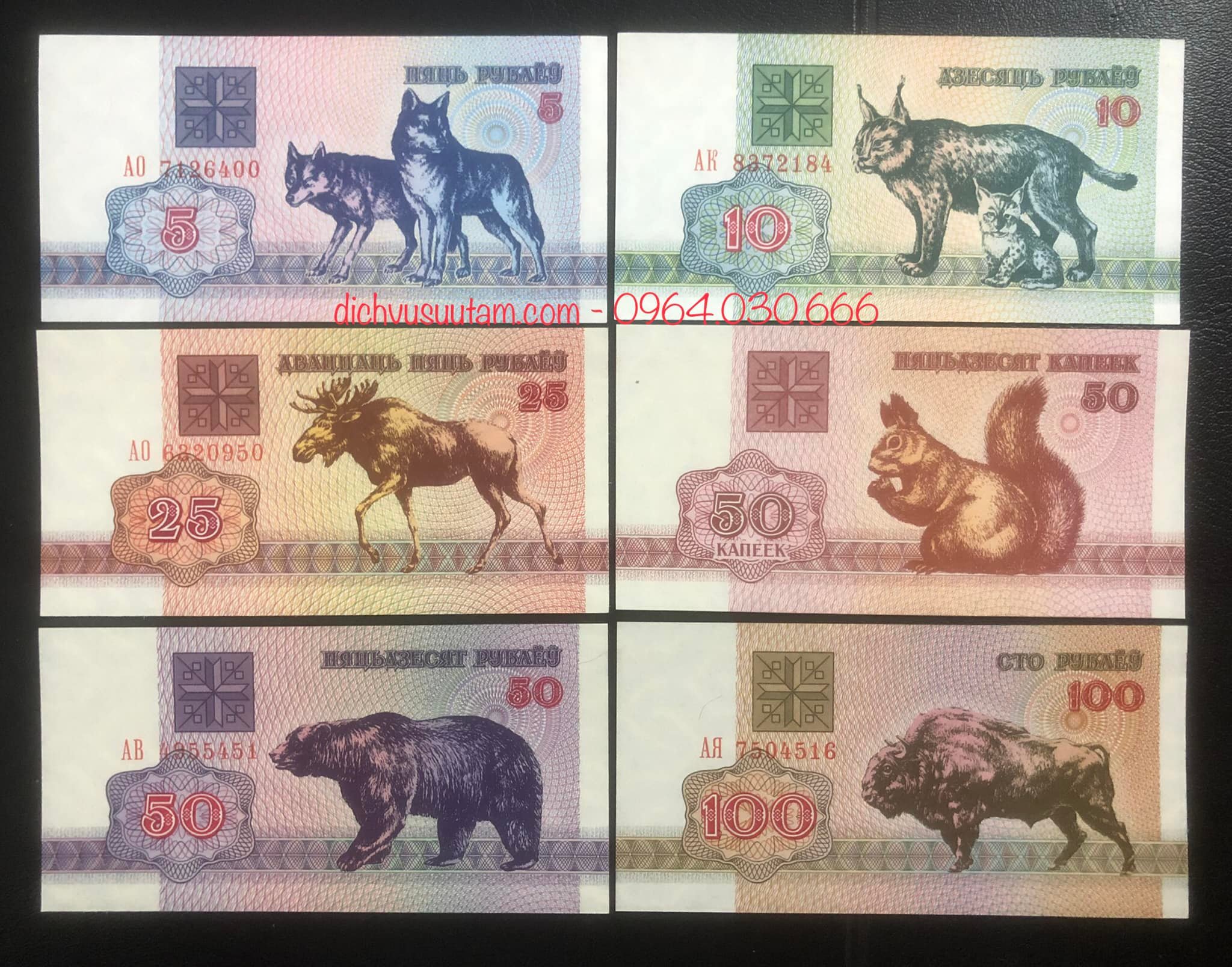 Combo 6 tờ tiền Belarus hình ảnh con vật khác nhau, tặng kèm phơi bảo quản