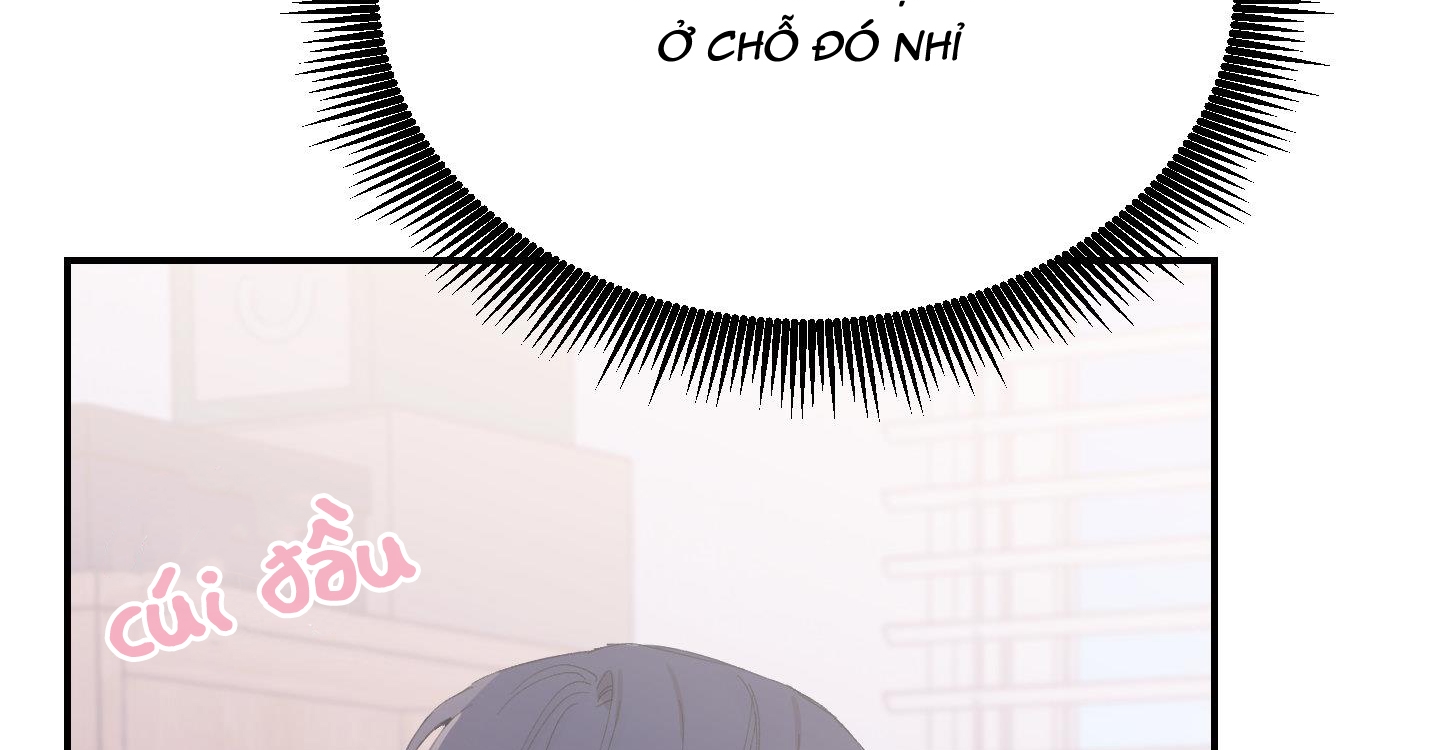 lãng mạn giả dối chapter 10 19