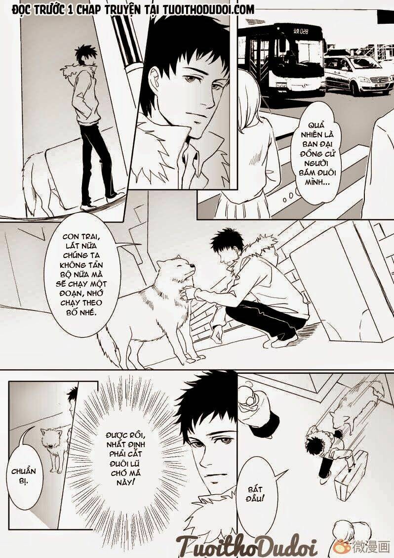 sự mê hoặc của sói chapter 11 12