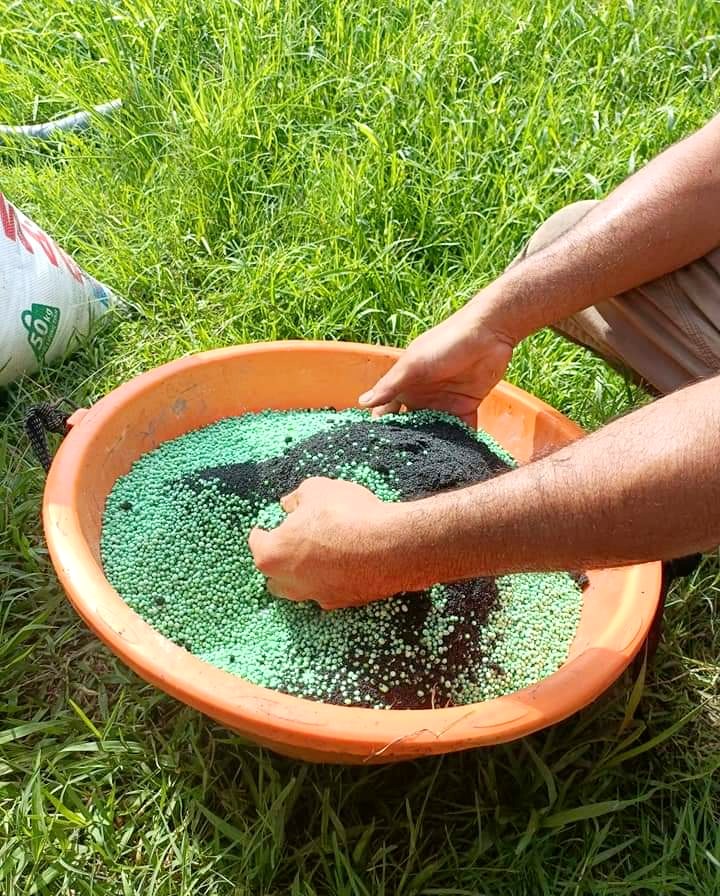 PHÂN BÓN HUMIC KÍCH RỄ, TƠI XỐP ĐẤT, KHỎE CÂY - DẠNG VẢY CAO CẤP - GÓI 1KG