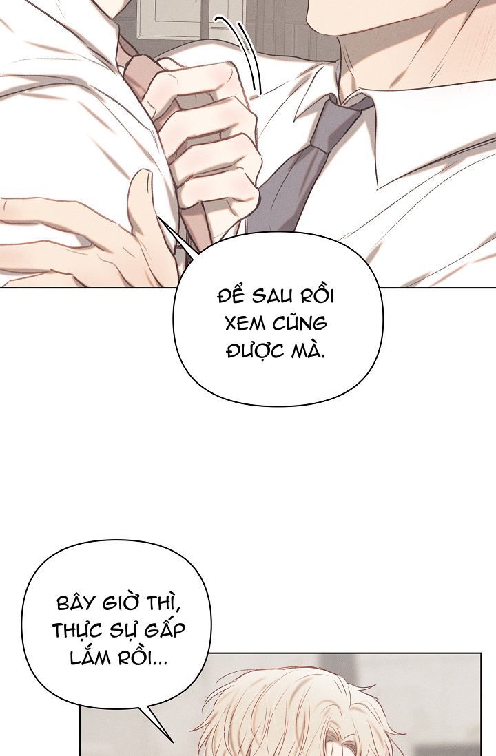 nơi tình yêu định mệnh chapter 11 6