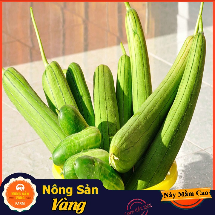 Hạt giống Mướp Hương ( Gói 15 hạt ) - Nông Sản Vàng