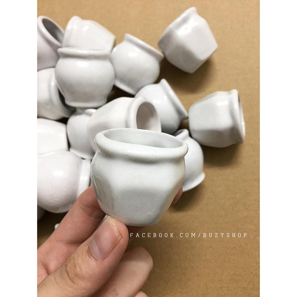 Chậu sứ trắng mini, chậu trồng sen đá - giao mẫu ngẫu nhiên