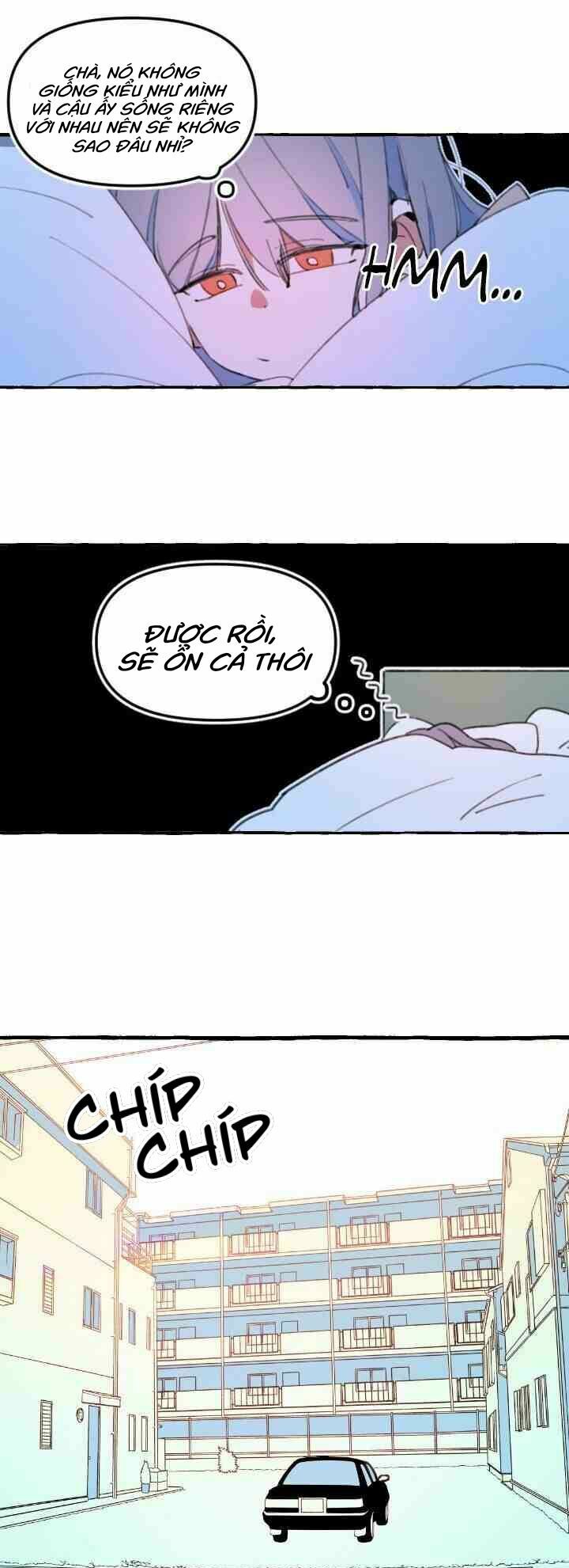 lời yêu thì cần app để dịch không? chapter 2 24