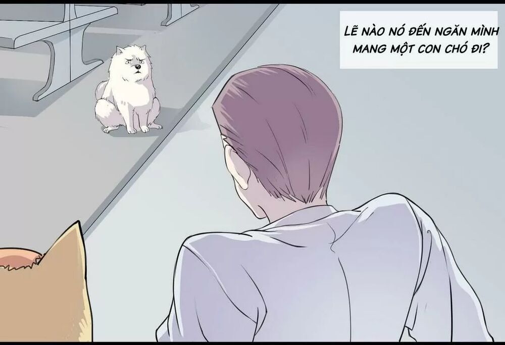 một con chó chapter 53 2