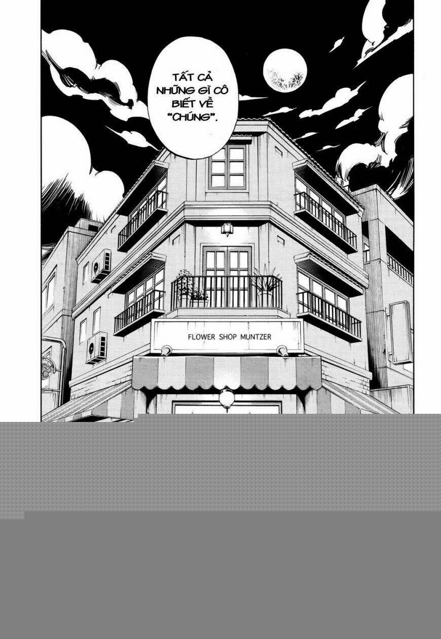 vua pháp thuật phần 2 chapter 12 14