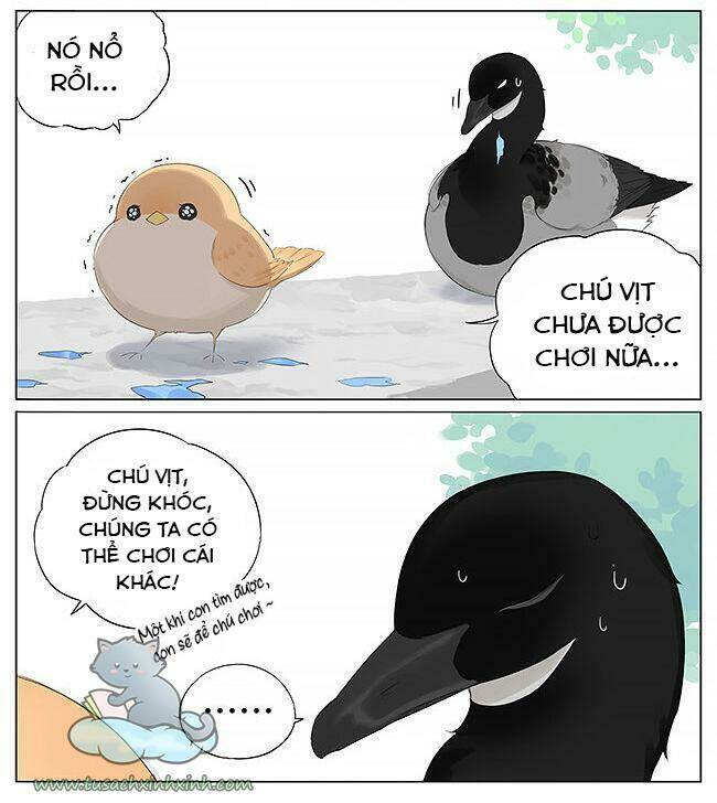 chim sẻ gọi ngỗng trời chapter 11 4