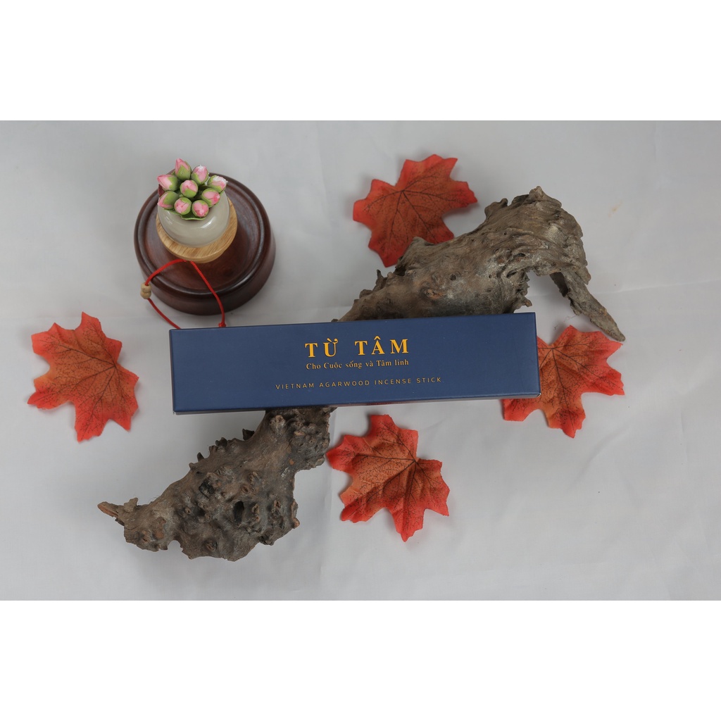 Nhang Trầm Hương Thiện Sanh Mùi Nhẹ Nhàng, Thư Giãn Từ 100% Trầm Hương Nguyên Chất Dài 20cm Hộp 100g 150 Cây