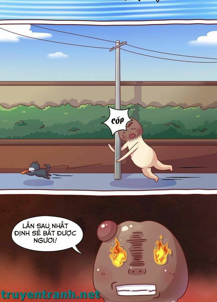 cây nấm kì khả chapter 10 7