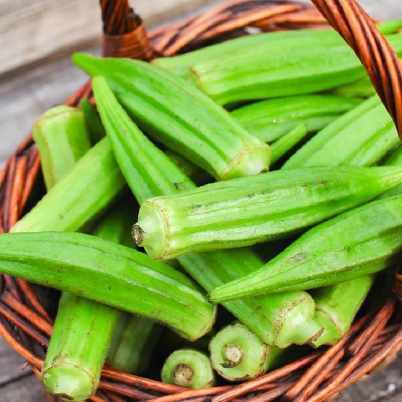 Hạt giống ĐẬU BẮP XANH cao sản siêu lùn 10gr