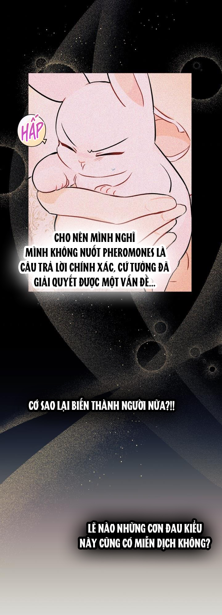 mối liên kết giữa báo đen và bé thỏ chapter 24 3