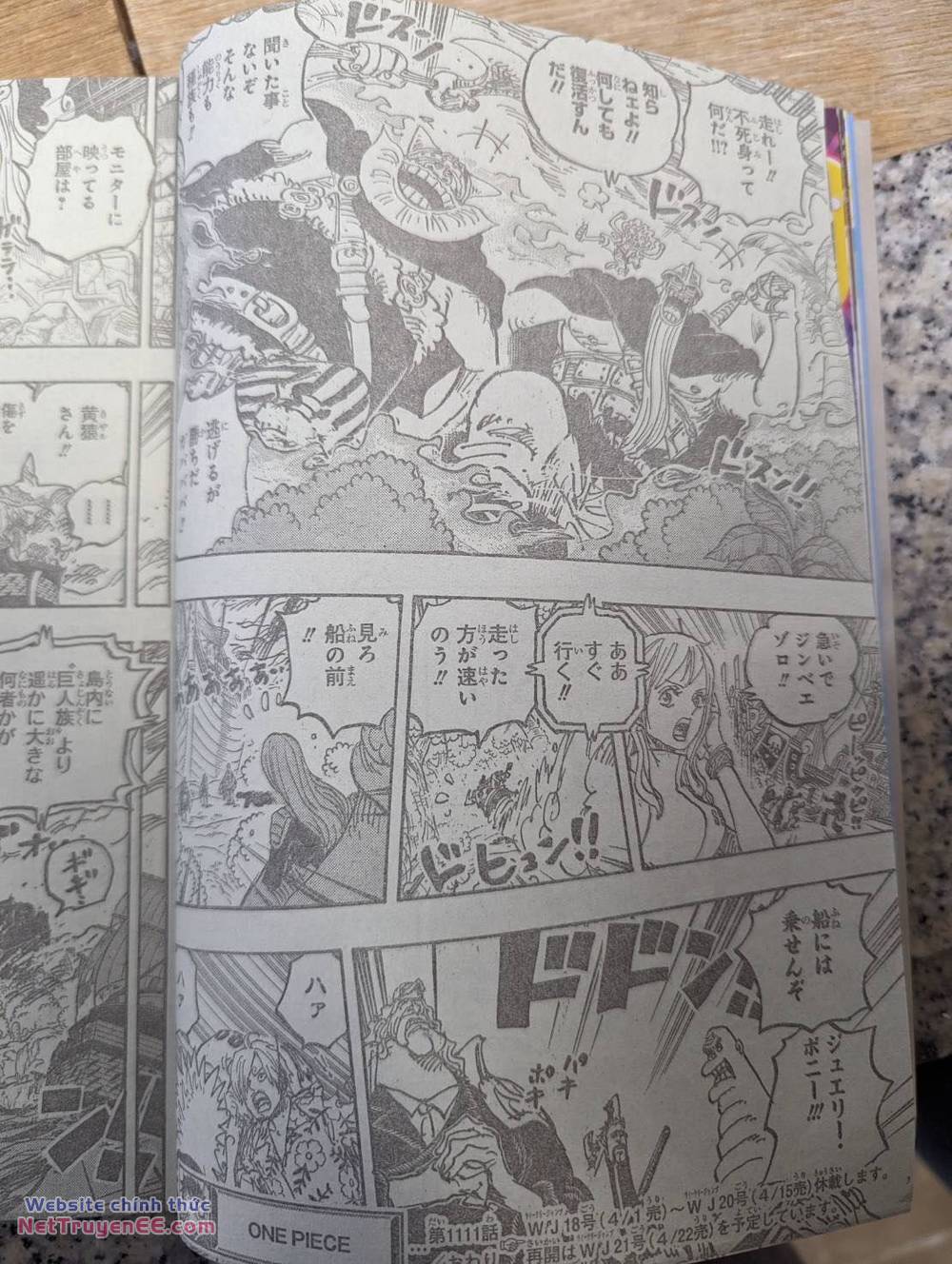 đảo hải tặc - one piece chapter 1111 19