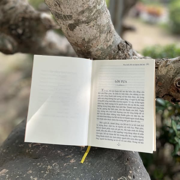 Sách - Tìm Hiểu Bồ Tát Quán Thế Âm - Vĩnh Nghiêm Books