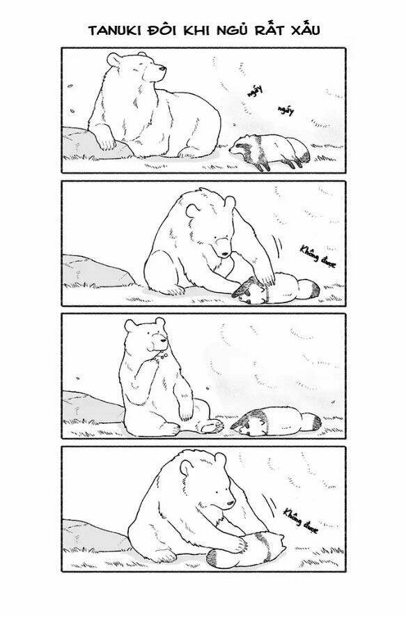 gấu và tanuki chapter 1 2