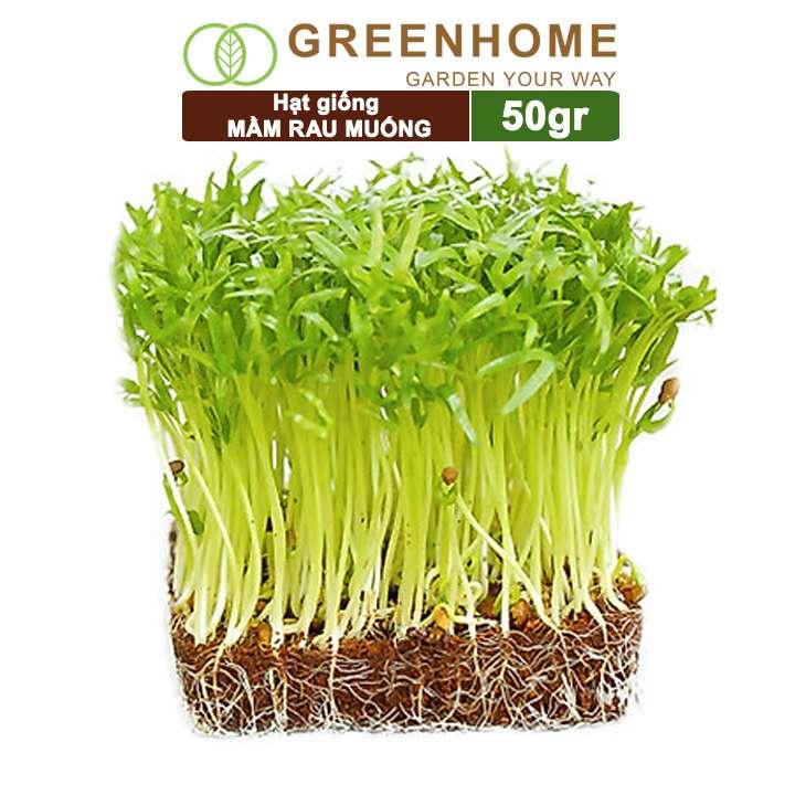 Hạt Giống Mầm Rau Muống Greenhome, Gói 50g, Dễ Trồng Quanh Năm, Nảy Mầm Cao, Thu Hoạch Nhanh, Năng Suất Cao R14