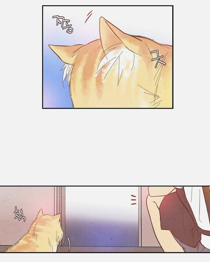 evergreen tea chapter 8 29