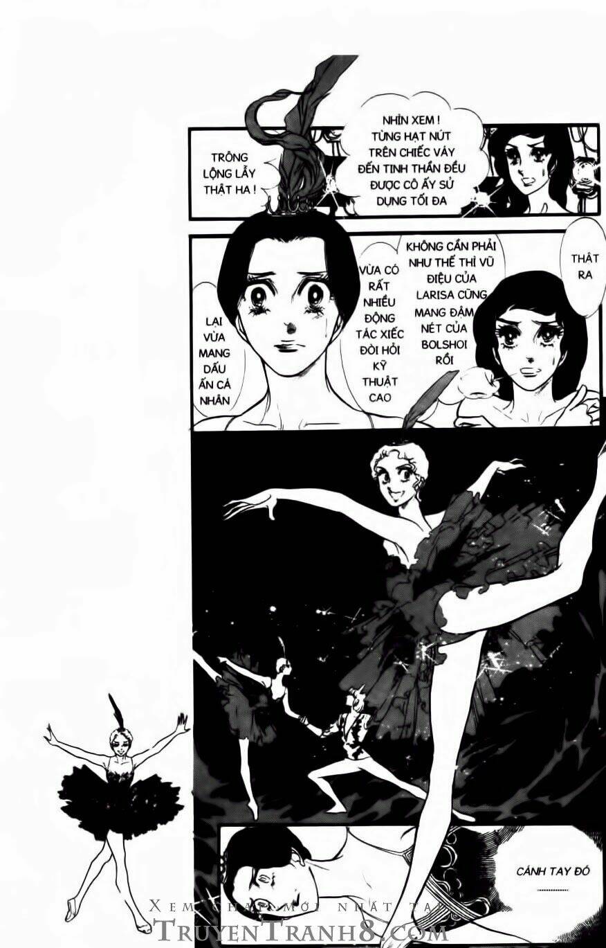 swan - vũ khúc thiên nga chapter 99 4
