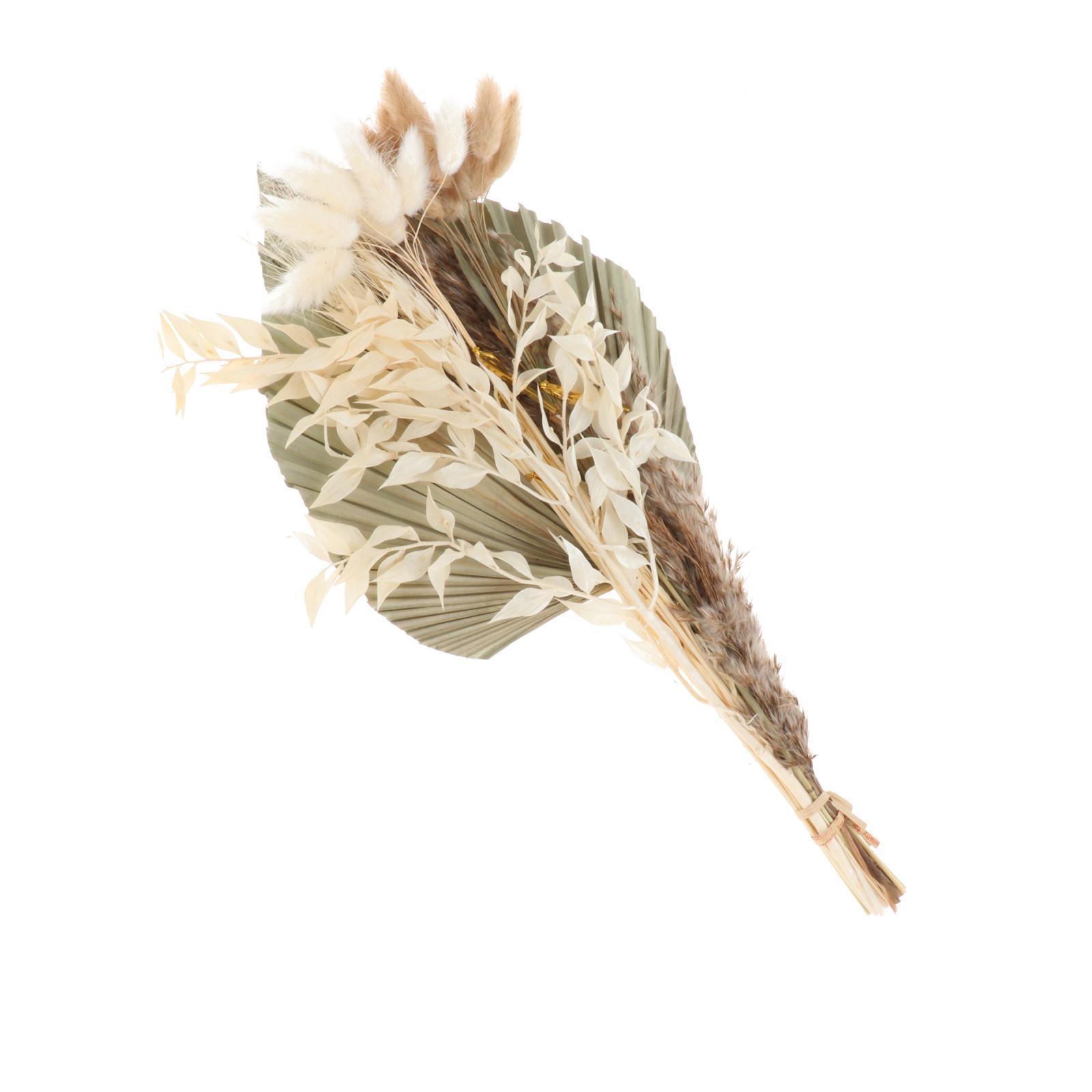 Dried Palm Leaves Pampas Grass Bundle Palm Spears Branches for Wedding