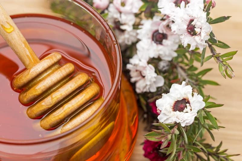 Mật Ong MGO 100+ Manuka Honey New Zealand - QuaTangMe Extaste