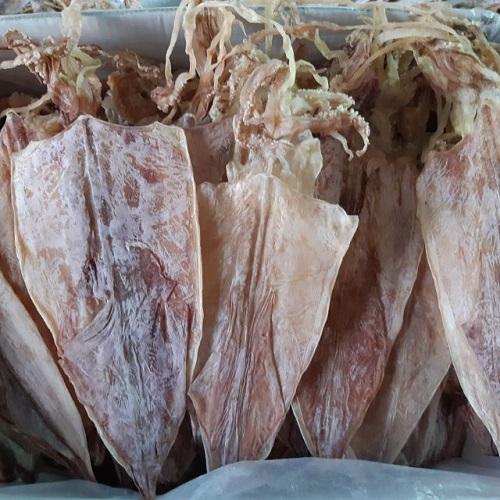 ( chỉ giao HN)- Mực Khô To 6-8 con/ kg -500g