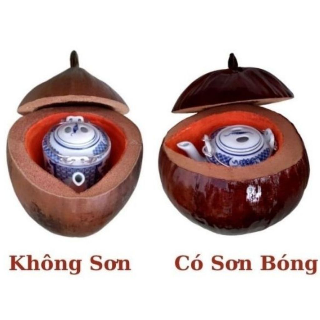 Vỏ Bình Trà Trái Dừa Có Sơn Bóng Màu Nâu Đỏ Và Bình Trà 850 - 950ml - Sản Phẩm Được Sản Xuất Tại Bến Tre