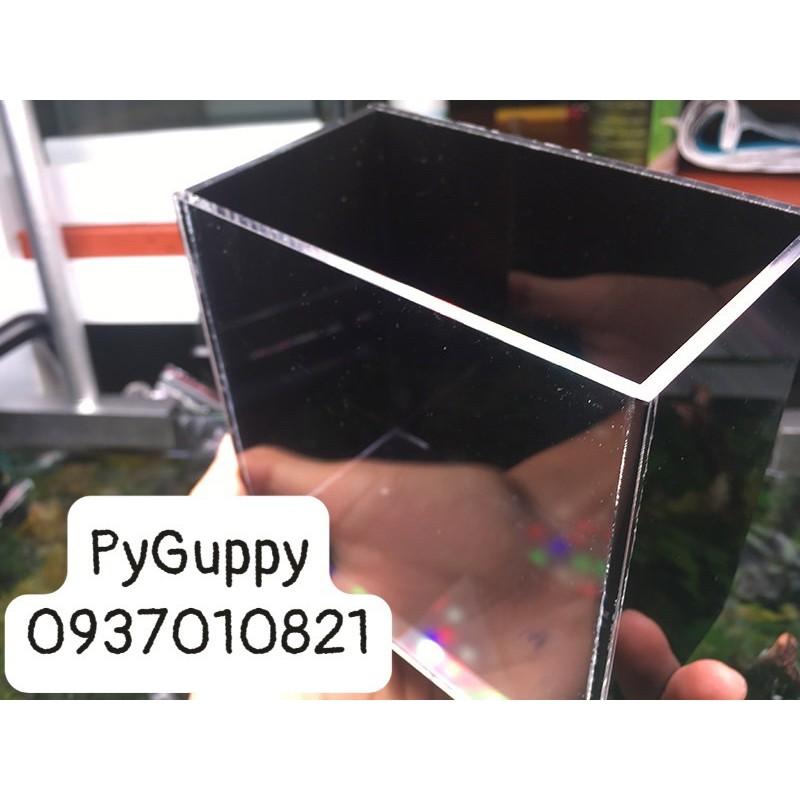 Keo Show Cá ACrylic Siêu Trong-Trong-Trắng-Xanh-Đen-show cá betta-Guppy-7màu-Neon-Hồ nuôi cá Mini 12x7x12-15x8x15