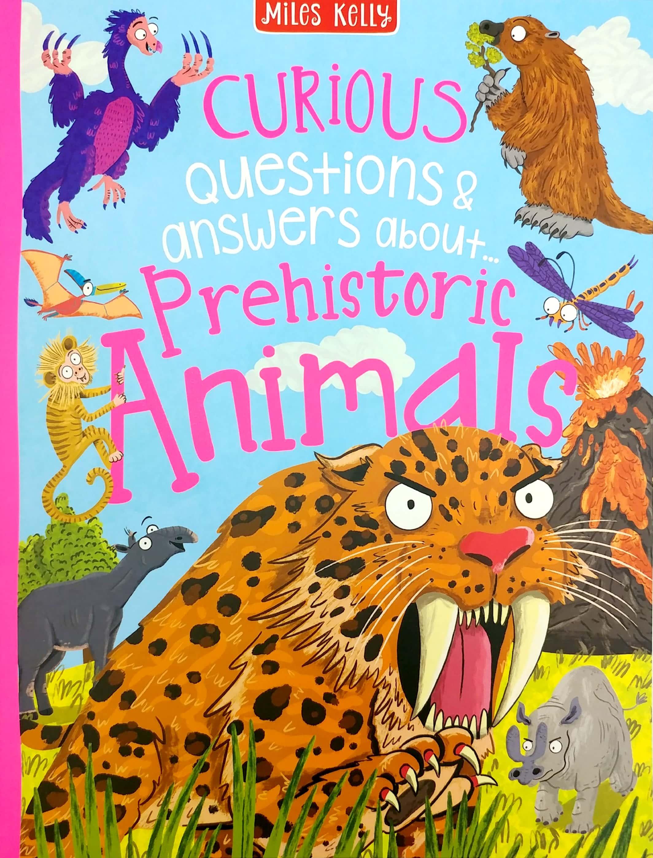 A Curious Library Of Questions And Answers
