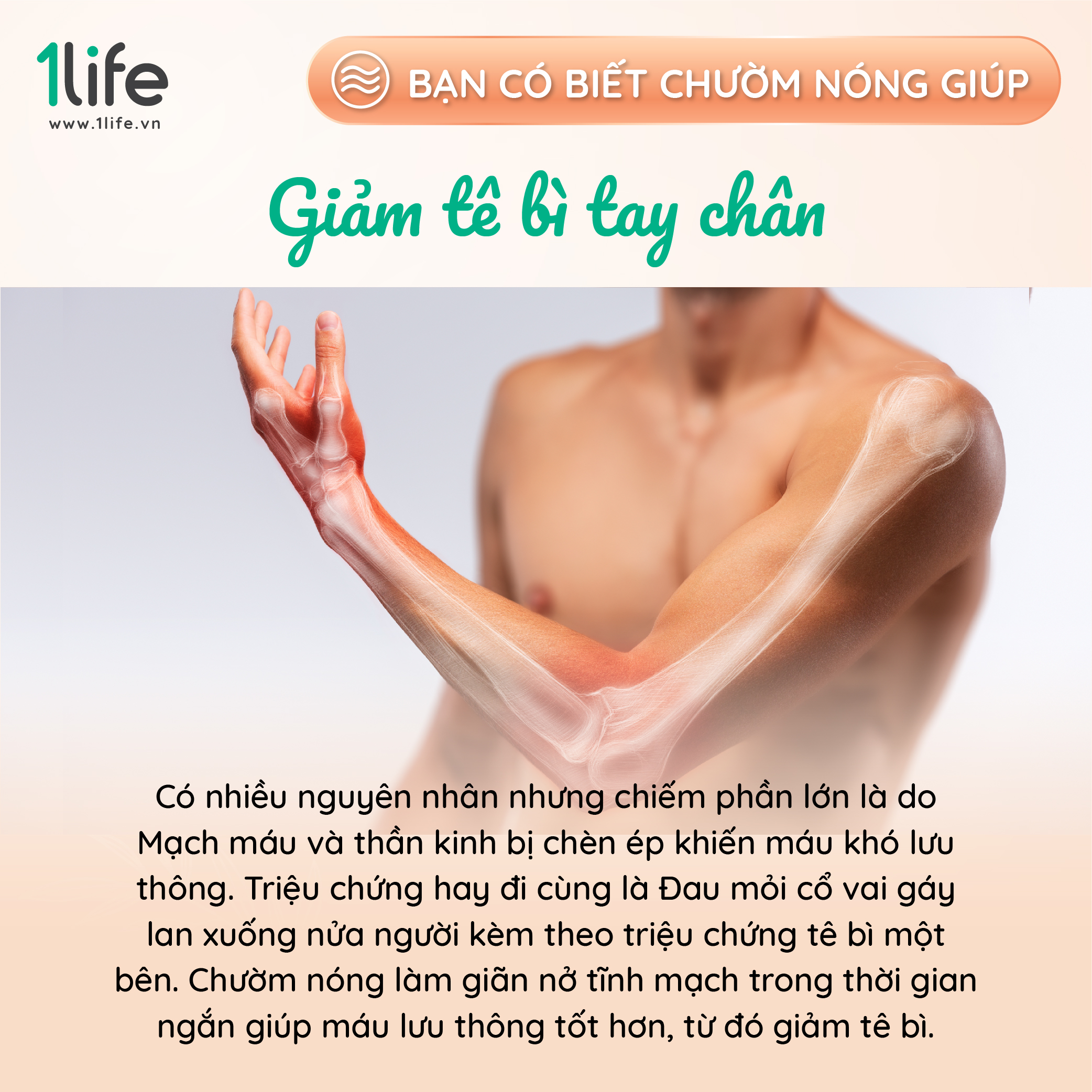 Gối thảo dược mùi hương hoa oải hương &amp; bạc hà 1LIFE