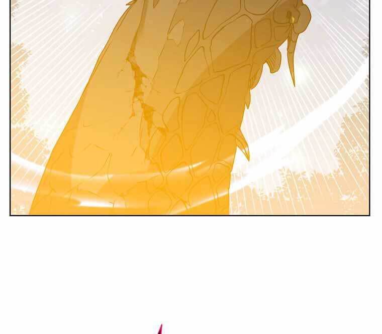 Anh Hùng Mạnh Nhất Trở Lại chapter 113 16