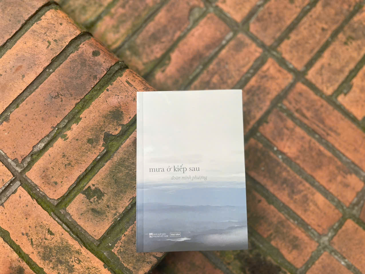 Sách Mưa Ở Kiếp Sau