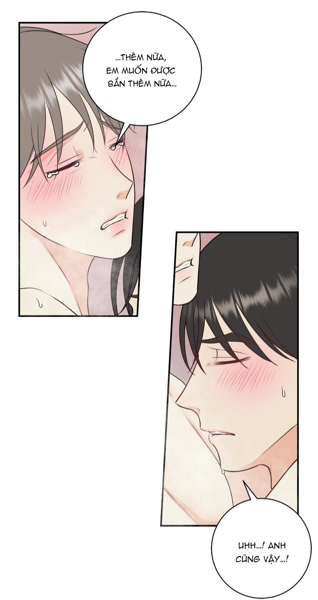 hạnh phúc trọn vẹn chapter 23 26