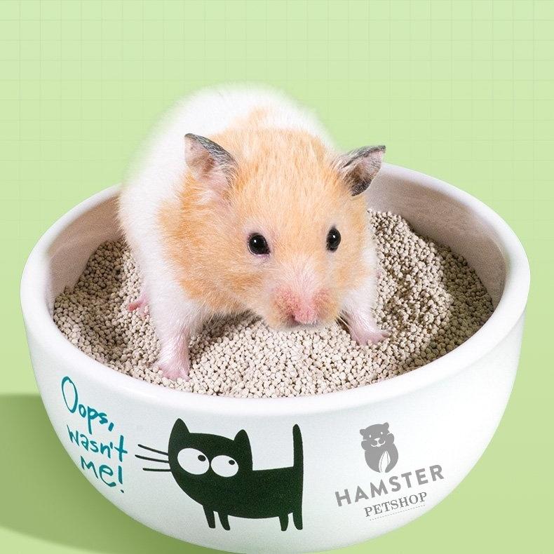 Cát lót chuồng cho hamster, sóc