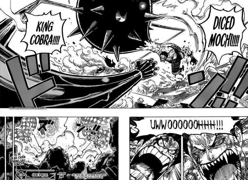 đảo hải tặc - one piece chapter 895 15