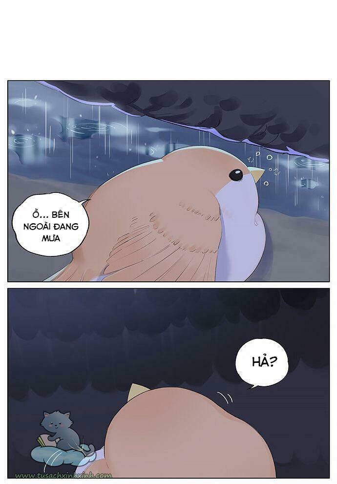 chim sẻ gọi ngỗng trời chapter 12 4