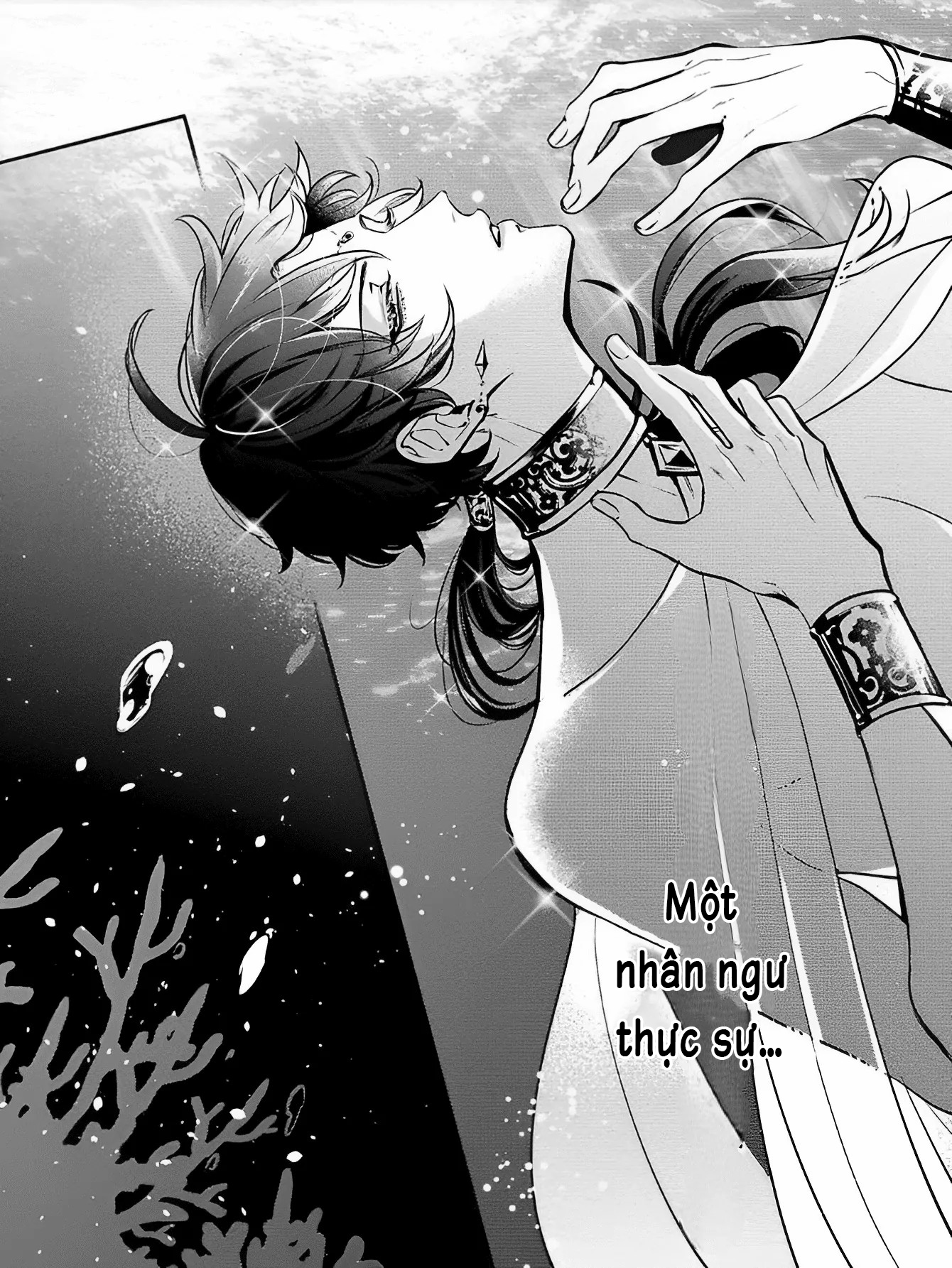 tiên cá, hoàng tử và mendako chapter 1 9