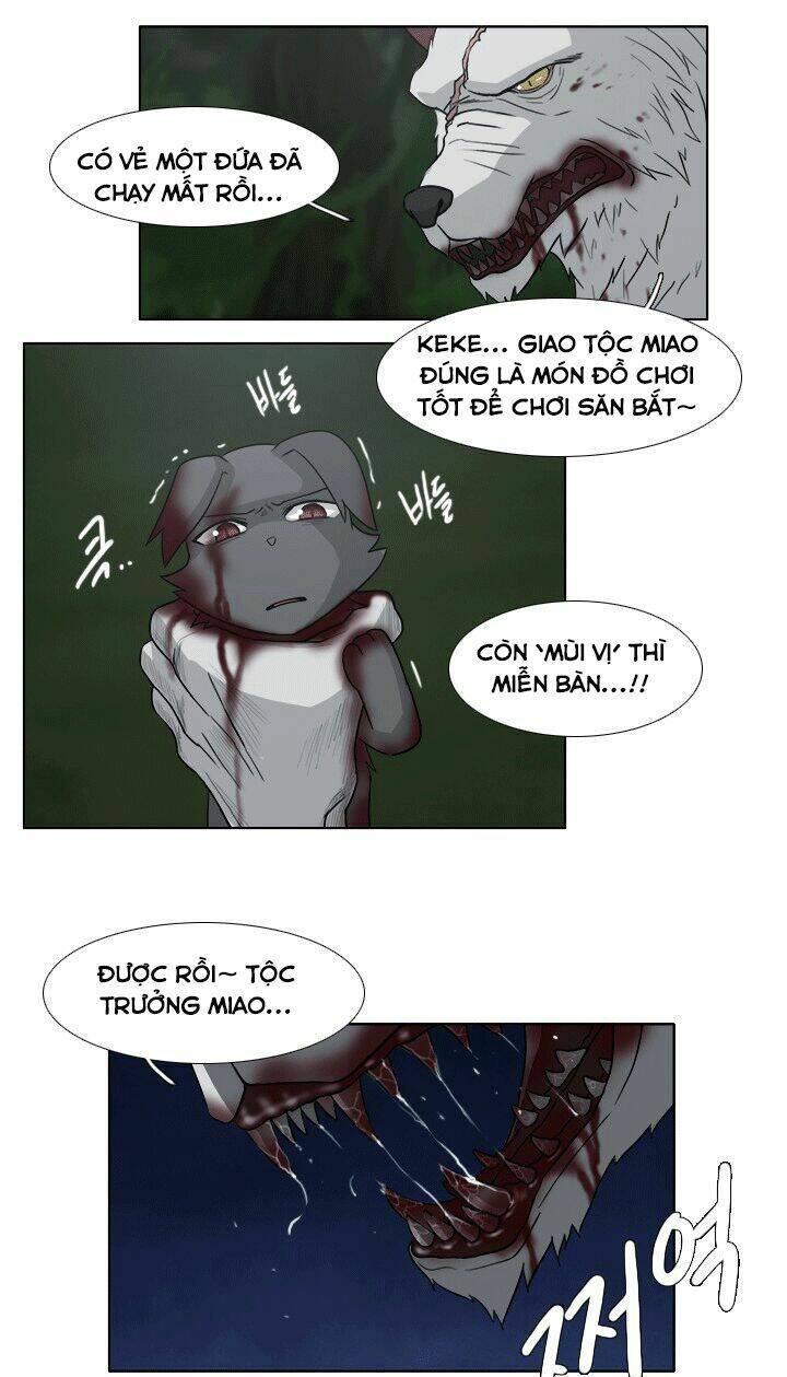 m. m. g. chapter 11 10