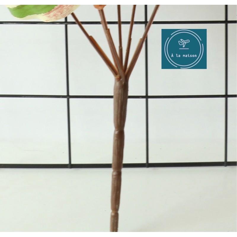 Cụm lá Peperomia cao 36cm bằng lụa dùng decor trang trí không gian sinh động tươi tắn, hoa event