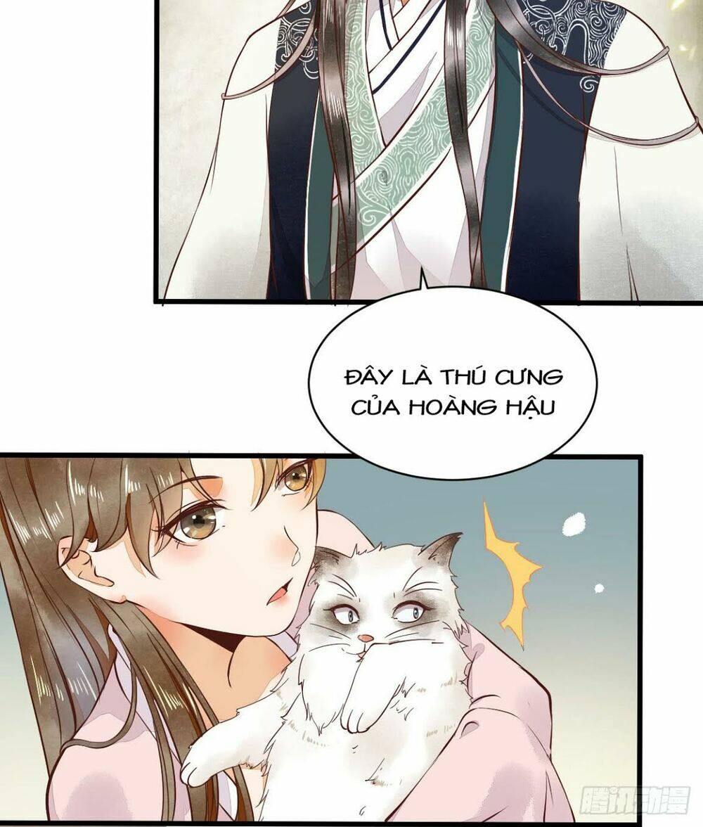 sát thủ vương phi không dễ chọc chapter 5.5 10