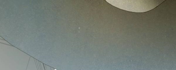 tôi muốn trở thành cô ấy dù chỉ là một ngày chapter 117 86