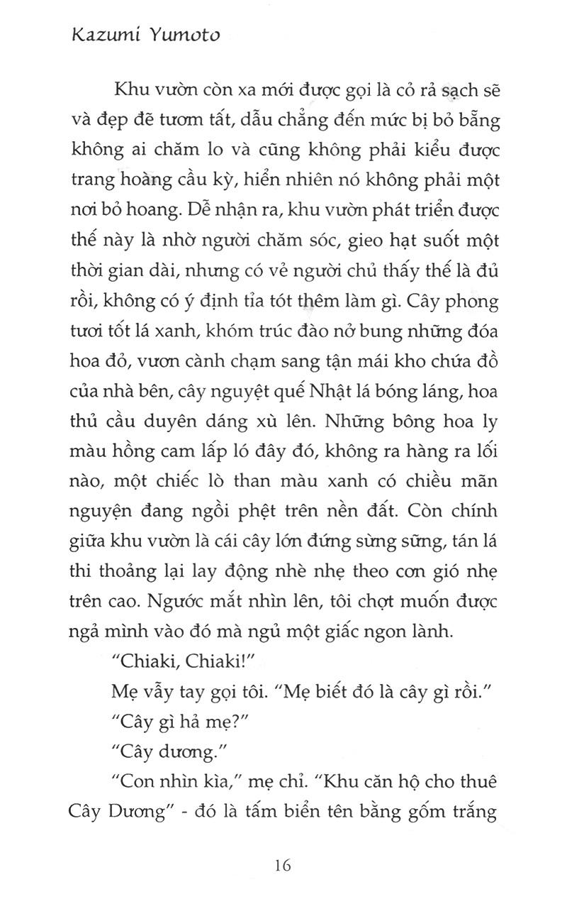 Mùa Thu Của Cây Dương