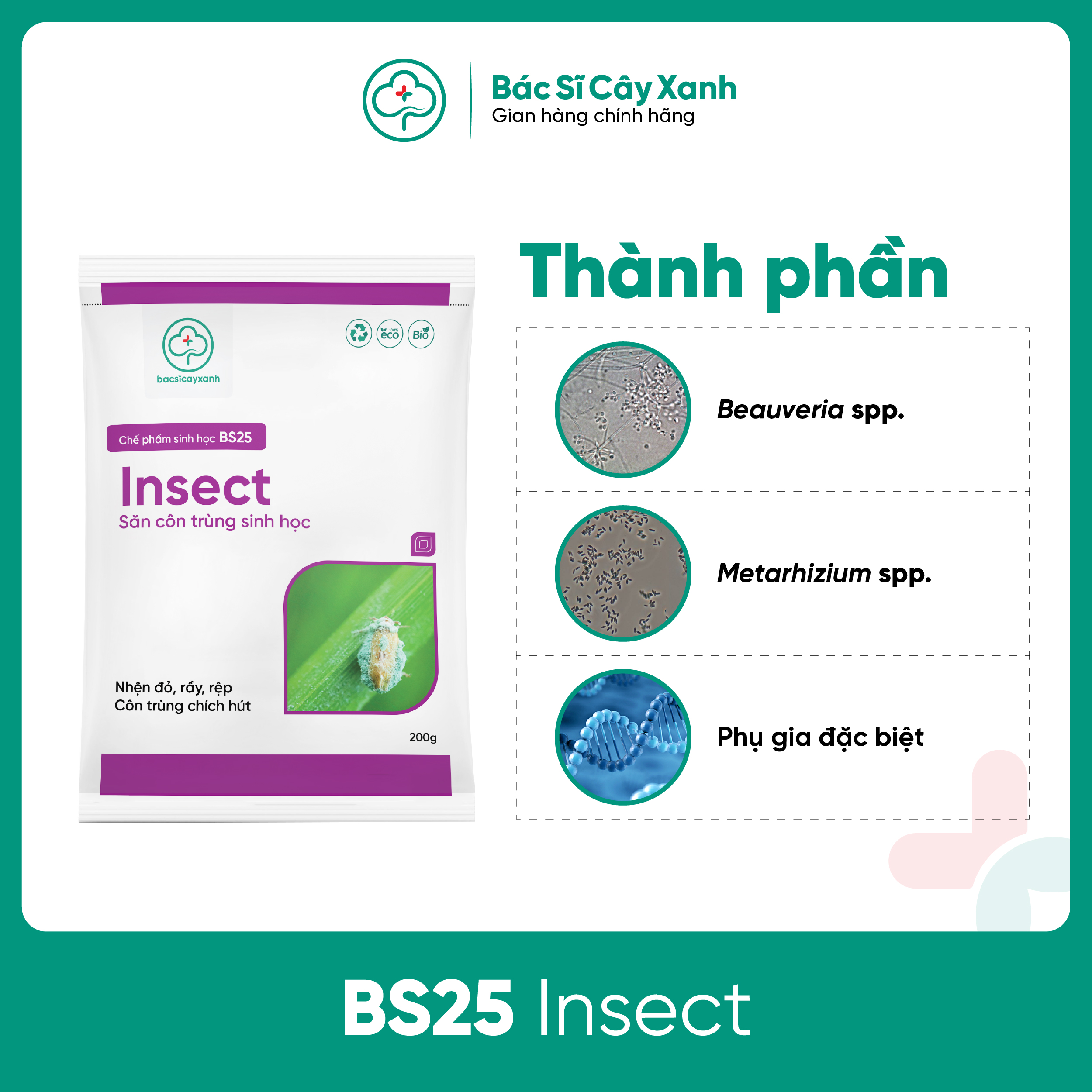 Thuốc diệt nhện đỏ, rầy, rệp, côn trùng hút chích An toàn sức khoẻ BS25 Insect 100/200g NSX Bacsicayxanh