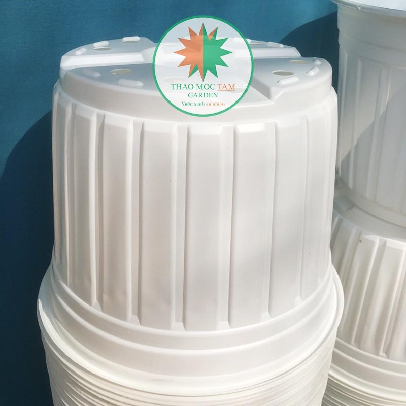 5c Chậu nhựa trồng cây 26x20cm - Chậu nhựa trồng hoa, phù hợp các dòng hoa bụi lớn, chậu trồng hoa hồng
